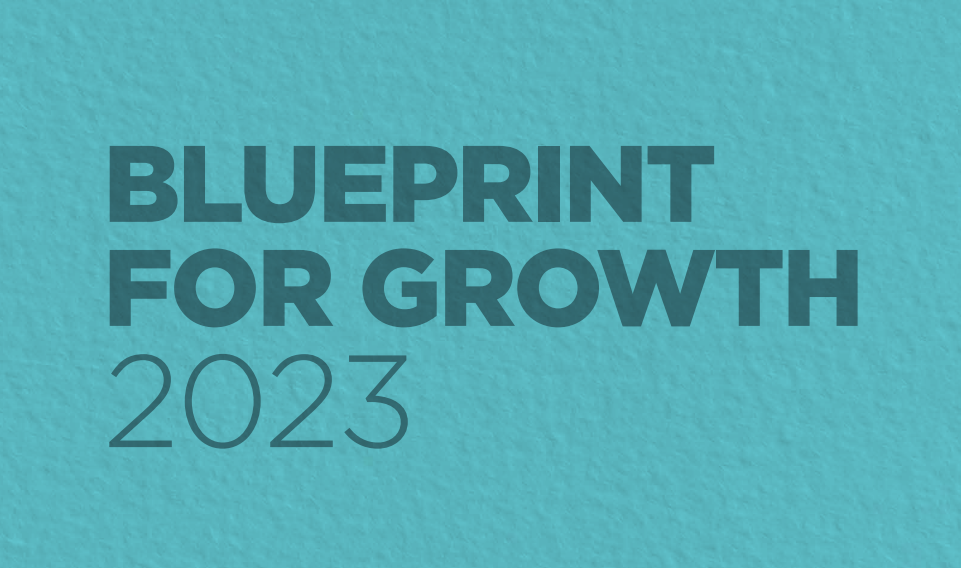 blueprint for growth